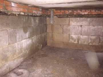 Как правильно обработать стены плесени и грибка в подвале